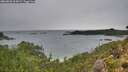 ./images/calvert/foggy-cove/20260830/foggy-cove20260830_065001M.jpg