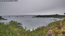./images/calvert/foggy-cove/20260830/foggy-cove20260830_065501M.jpg