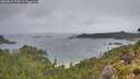 ./images/calvert/foggy-cove/20260830/foggy-cove20260830_075001M.jpg