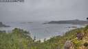 ./images/calvert/foggy-cove/20260830/foggy-cove20260830_082001M.jpg