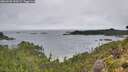 ./images/calvert/foggy-cove/20260830/foggy-cove20260830_100502M.jpg