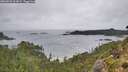 ./images/calvert/foggy-cove/20260830/foggy-cove20260830_101001M.jpg