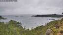 ./images/calvert/foggy-cove/20260830/foggy-cove20260830_101501M.jpg