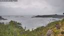 ./images/calvert/foggy-cove/20260830/foggy-cove20260830_104002M.jpg