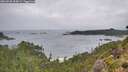 ./images/calvert/foggy-cove/20260830/foggy-cove20260830_104501M.jpg