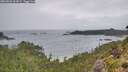 ./images/calvert/foggy-cove/20260830/foggy-cove20260830_105001M.jpg