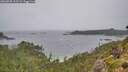 ./images/calvert/foggy-cove/20260830/foggy-cove20260830_111501M.jpg