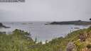 ./images/calvert/foggy-cove/20260830/foggy-cove20260830_112001M.jpg