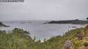 ./images/calvert/foggy-cove/20260830/foggy-cove20260830_112501M.jpg