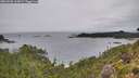 ./images/calvert/foggy-cove/20260830/foggy-cove20260830_115002M.jpg