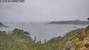 ./images/calvert/foggy-cove/20260830/foggy-cove20260830_130001M.jpg
