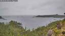 ./images/calvert/foggy-cove/20260830/foggy-cove20260830_152001M.jpg