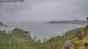 ./images/calvert/foggy-cove/20260830/foggy-cove20260830_172501M.jpg