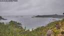 ./images/calvert/foggy-cove/20260830/foggy-cove20260830_185001M.jpg