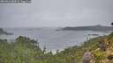 ./images/calvert/foggy-cove/20260831/foggy-cove20260831_080001M.jpg