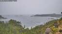 ./images/calvert/foggy-cove/20260831/foggy-cove20260831_083501M.jpg