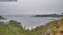 ./images/calvert/foggy-cove/20260831/foggy-cove20260831_092501M.jpg