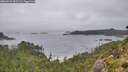 ./images/calvert/foggy-cove/20260831/foggy-cove20260831_093502M.jpg