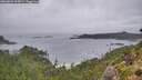 ./images/calvert/foggy-cove/20260831/foggy-cove20260831_094501M.jpg