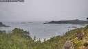 ./images/calvert/foggy-cove/20260831/foggy-cove20260831_102501M.jpg