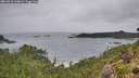 ./images/calvert/foggy-cove/20260831/foggy-cove20260831_110001M.jpg