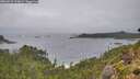 ./images/calvert/foggy-cove/20260831/foggy-cove20260831_113001M.jpg