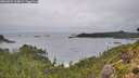 ./images/calvert/foggy-cove/20260831/foggy-cove20260831_114001M.jpg