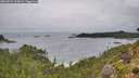 ./images/calvert/foggy-cove/20260831/foggy-cove20260831_114501M.jpg