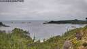 ./images/calvert/foggy-cove/20260831/foggy-cove20260831_115001M.jpg