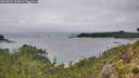 ./images/calvert/foggy-cove/20260831/foggy-cove20260831_124002M.jpg