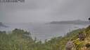 ./images/calvert/foggy-cove/20260831/foggy-cove20260831_133502M.jpg