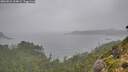 ./images/calvert/foggy-cove/20260831/foggy-cove20260831_134001M.jpg