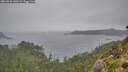 ./images/calvert/foggy-cove/20260831/foggy-cove20260831_140501M.jpg