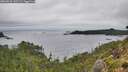 ./images/calvert/foggy-cove/20260831/foggy-cove20260831_142501M.jpg