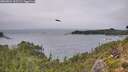 ./images/calvert/foggy-cove/20260831/foggy-cove20260831_153501M.jpg