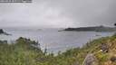 ./images/calvert/foggy-cove/20260831/foggy-cove20260831_155501M.jpg