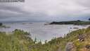 ./images/calvert/foggy-cove/20260901/foggy-cove20260901_082001M.jpg
