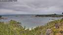 ./images/calvert/foggy-cove/20260901/foggy-cove20260901_085501M.jpg