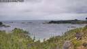 ./images/calvert/foggy-cove/20260901/foggy-cove20260901_090501M.jpg