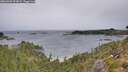 ./images/calvert/foggy-cove/20260901/foggy-cove20260901_091001M.jpg