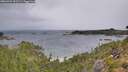 ./images/calvert/foggy-cove/20260901/foggy-cove20260901_091501M.jpg