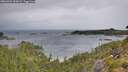 ./images/calvert/foggy-cove/20260901/foggy-cove20260901_092002M.jpg