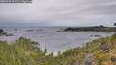 ./images/calvert/foggy-cove/20260901/foggy-cove20260901_092501M.jpg