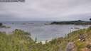 ./images/calvert/foggy-cove/20260901/foggy-cove20260901_093001M.jpg