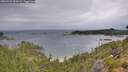 ./images/calvert/foggy-cove/20260901/foggy-cove20260901_093501M.jpg