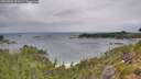 ./images/calvert/foggy-cove/20260901/foggy-cove20260901_094501M.jpg