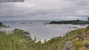 ./images/calvert/foggy-cove/20260901/foggy-cove20260901_101001M.jpg