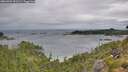 ./images/calvert/foggy-cove/20260901/foggy-cove20260901_101501M.jpg