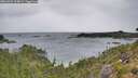 ./images/calvert/foggy-cove/20260901/foggy-cove20260901_104001M.jpg