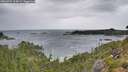 ./images/calvert/foggy-cove/20260901/foggy-cove20260901_104501M.jpg